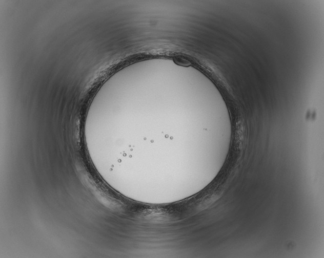 X0000111220589200907161253