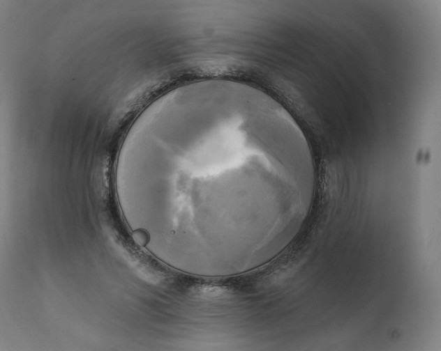 X0000111220590200907161253