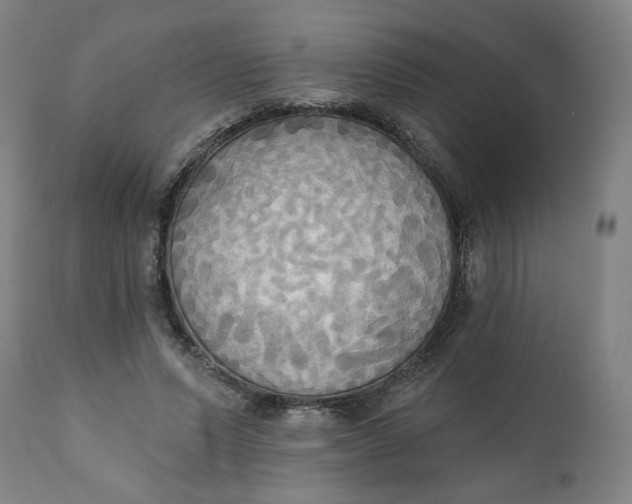X0000111220591200907161253