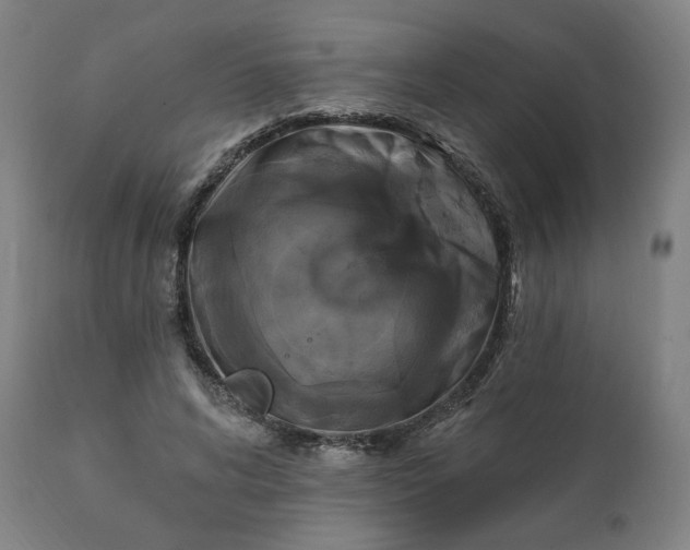 X0000111220592200907161253