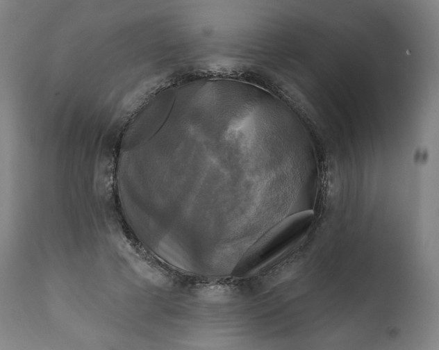 X0000111220593200907161253