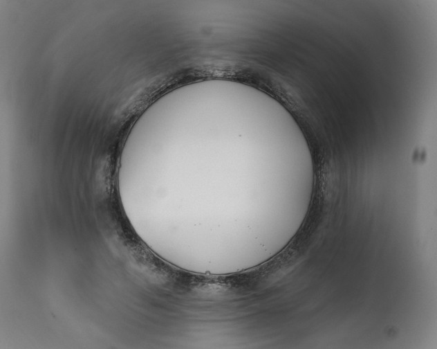 X0000111220594200907161253