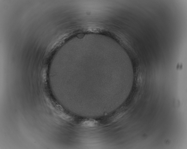 X0000111220595200907161253