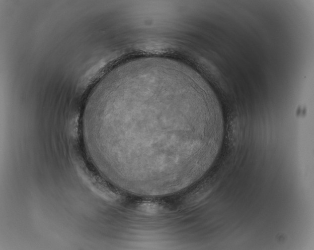 X0000111220596200907161253