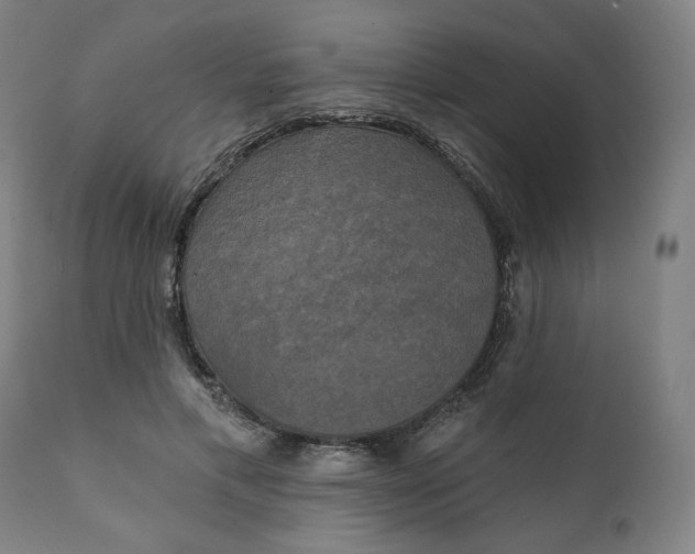 X0000111220597200907161253