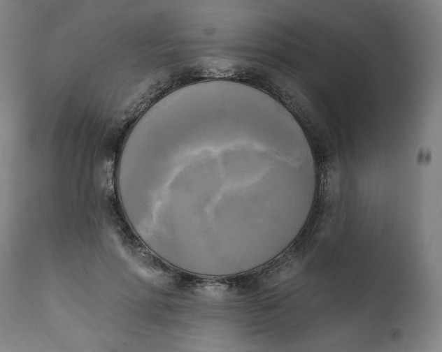 X0000111220598200907161253