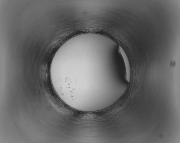 X0000111220599200907161253