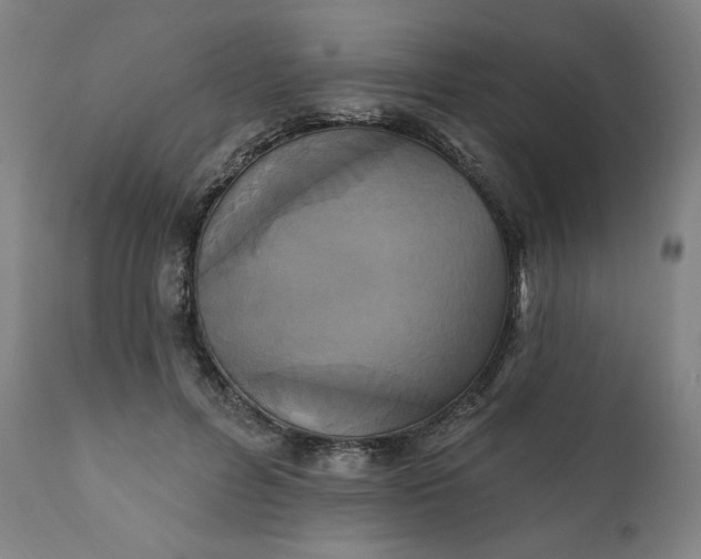 X0000111220600200907161253