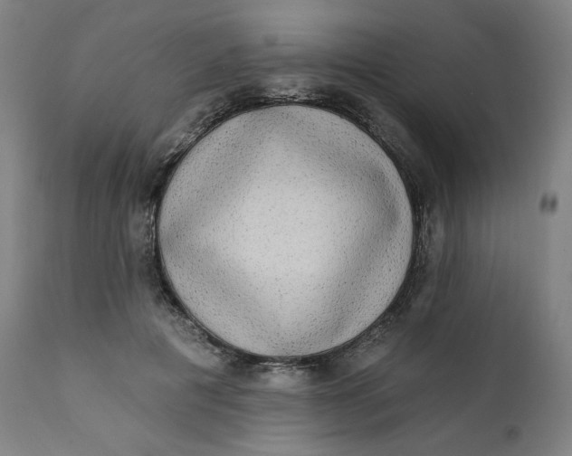 X0000111220601200907161253