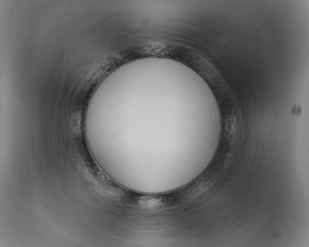 X0000111220602200907161253
