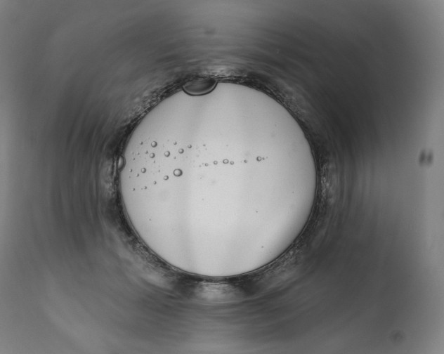 X0000111220605200907161253