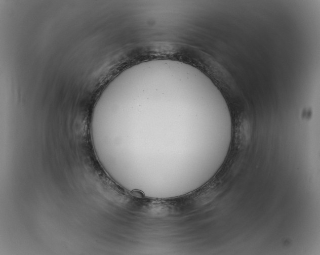 X0000111220608200907161253
