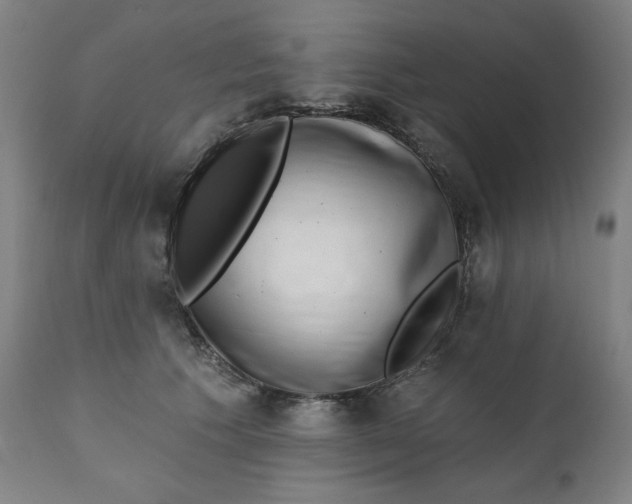 X0000111220609200907161253