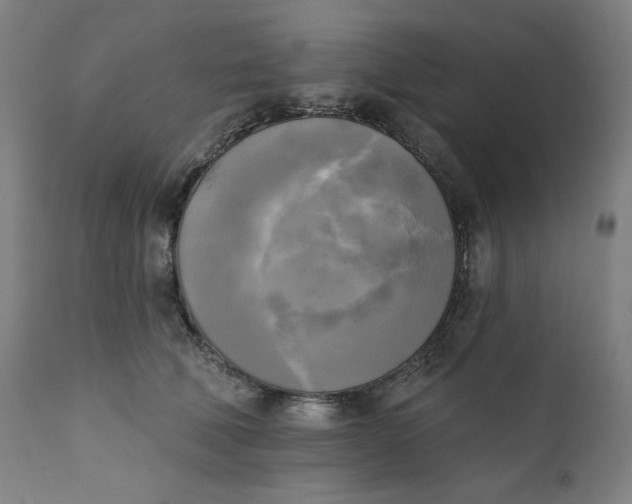 X0000111220610200907161253
