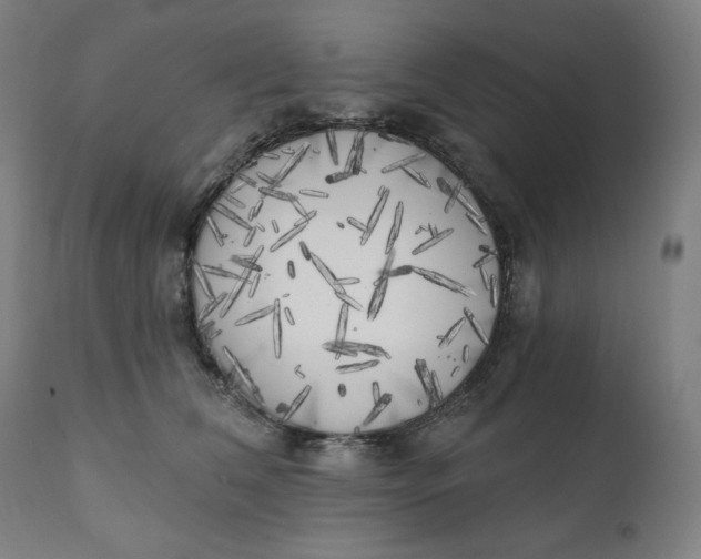 X0000111220612200907161253