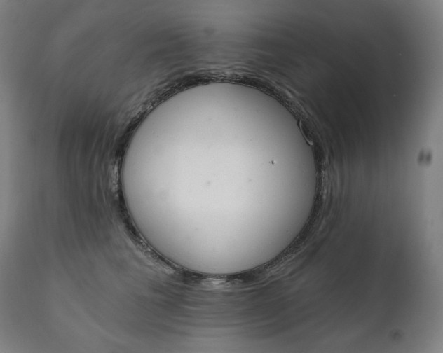X0000111220613200907161253