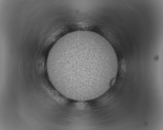 X0000111220615200907161253