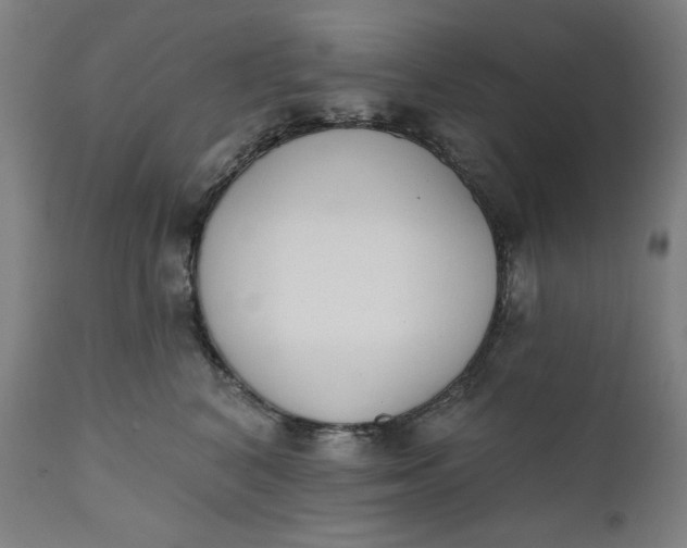 X0000111220616200907161253