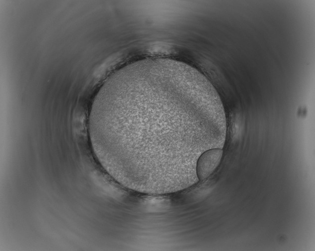 X0000111220619200907161253