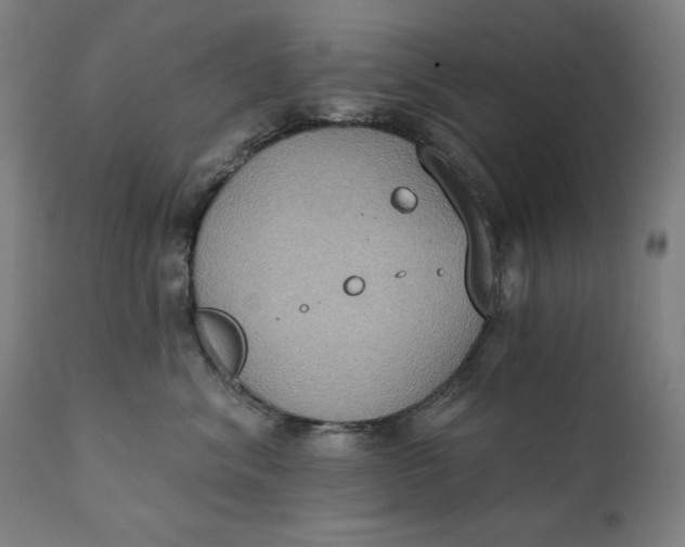 X0000111220620200907161253