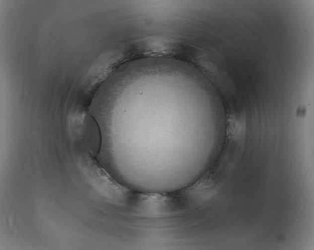 X0000111220621200907161253