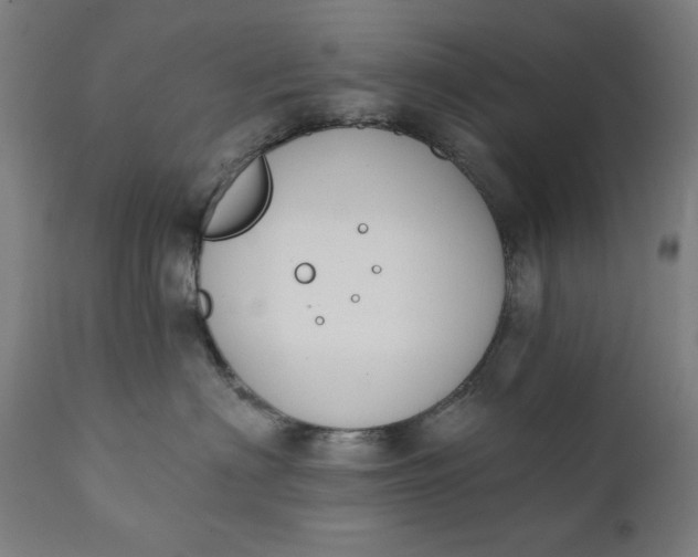 X0000111220622200907161253