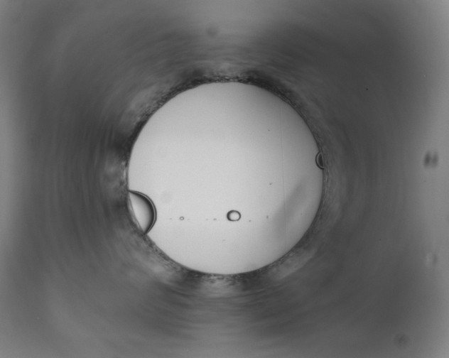 X0000111220624200907161253
