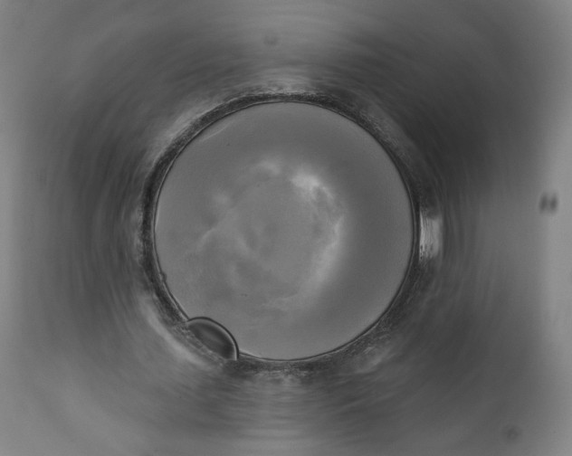 X0000111220627200907161252