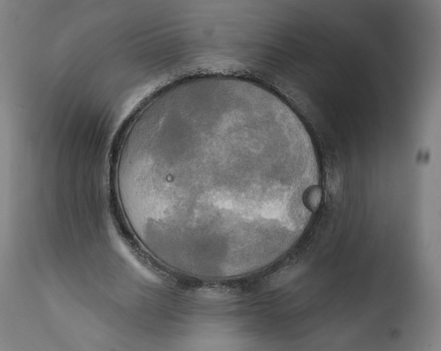 X0000111220630200907161252