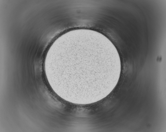 X0000111220632200907161252