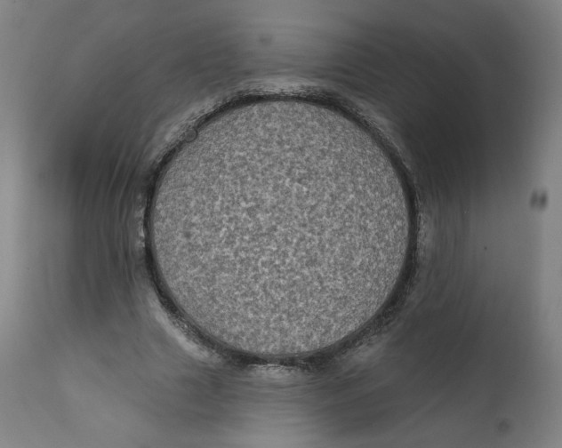 X0000111220633200907161252