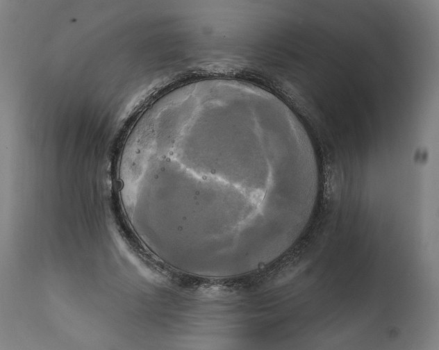 X0000111220634200907161252