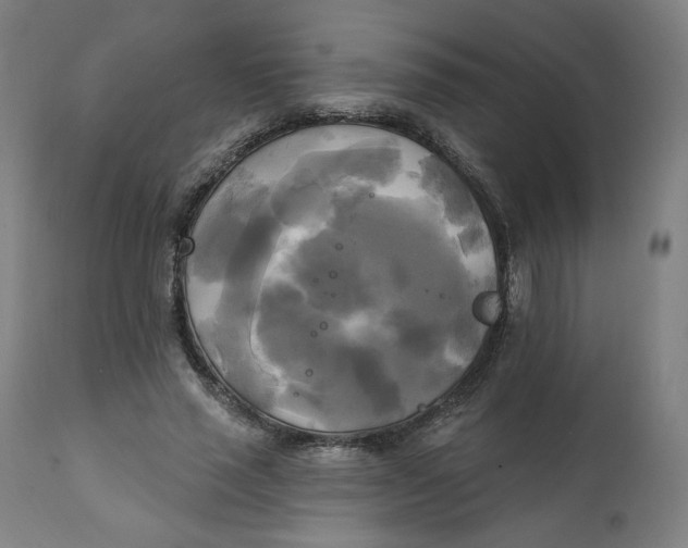 X0000111220637200907161252