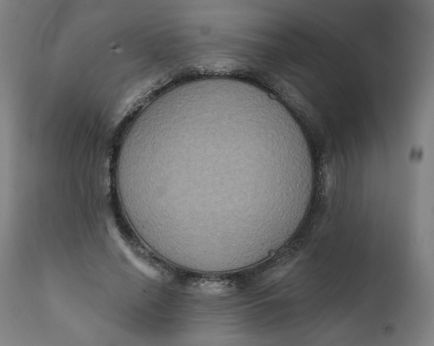 X0000111220638200907161252