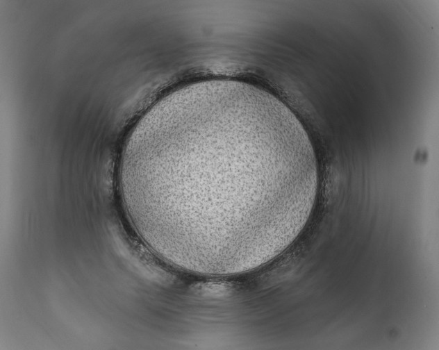 X0000111220639200907161252