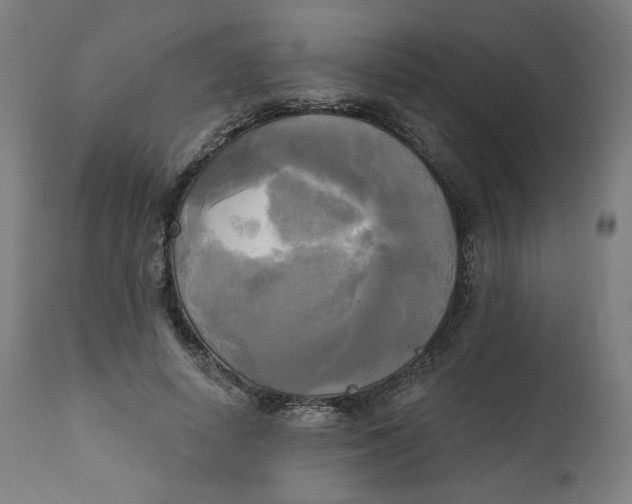 X0000111220642200907161252