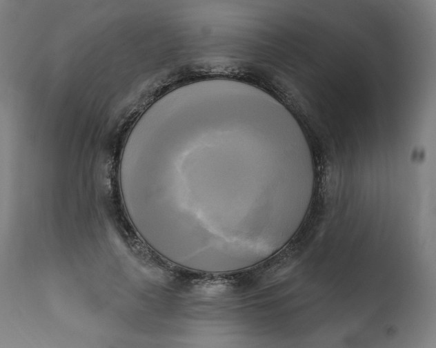 X0000111220643200907161252