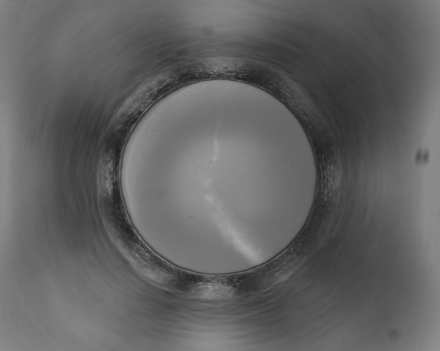 X0000111220644200907161252