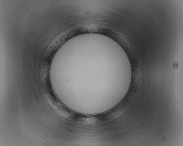 X0000111220645200907161252