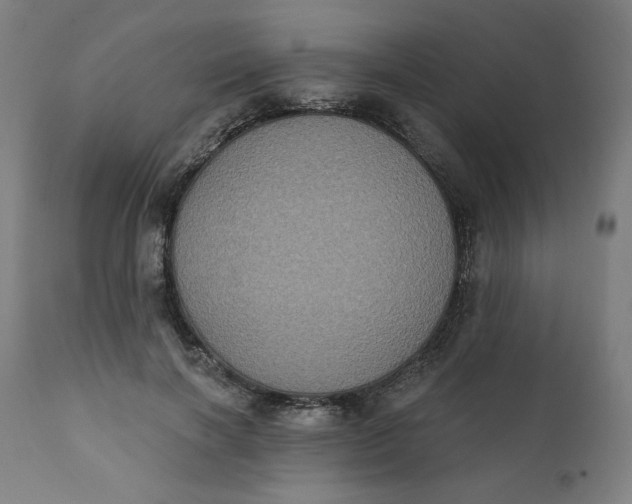 X0000111220646200907161252