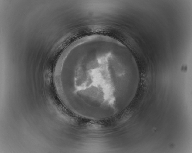 X0000111220648200907161253