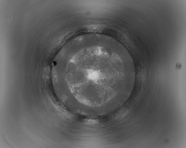 X0000111220649200907161253