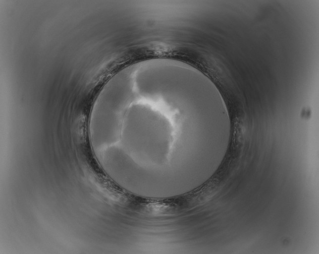 X0000111220650200907161253
