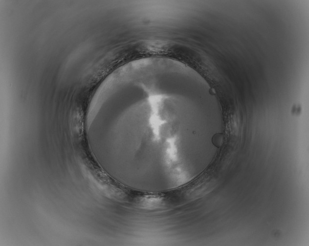 X0000111220651200907161253