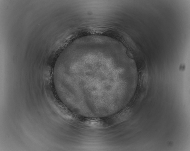 X0000111220655200907161253