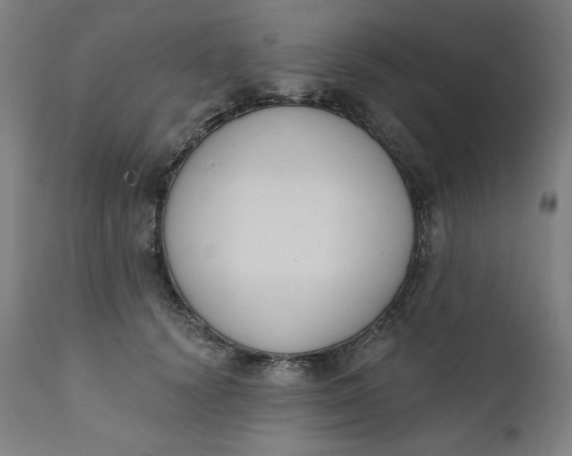 X0000111220656200907161253