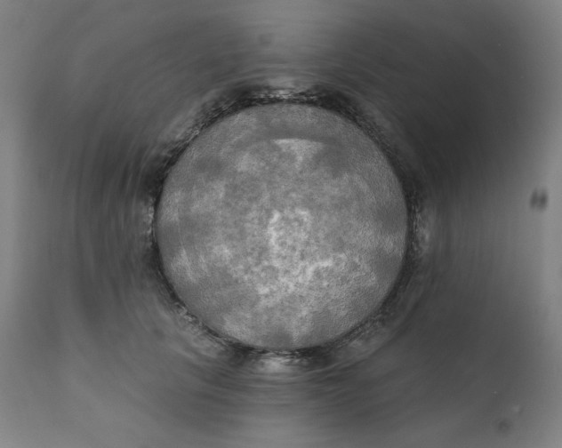 X0000111220657200907161253