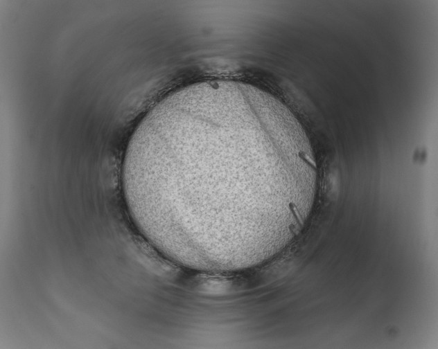 X0000111220658200907161253