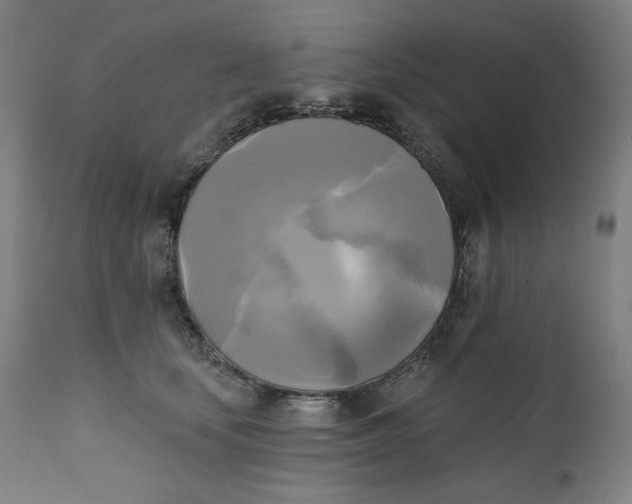 X0000111220659200907161253