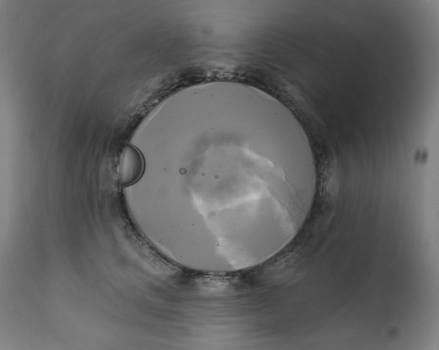 X0000111220661200907161253